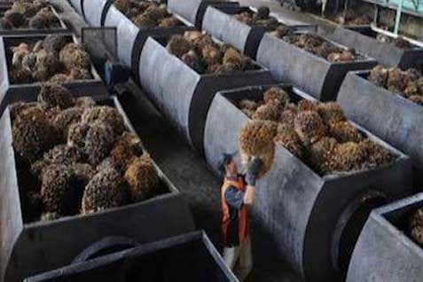  HARGA CPO (5 September 2014): Ditutup Menguat 0,3%