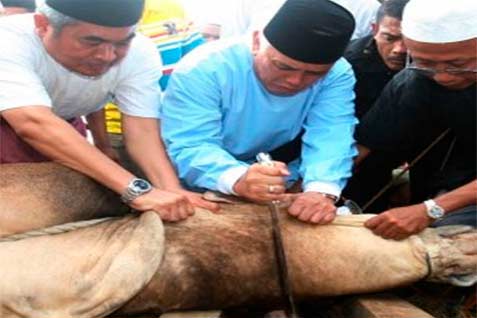  HARI RAYA IDULADHA: Depok Latih 100 Anggota DKM Sembelih Hewan Kurban