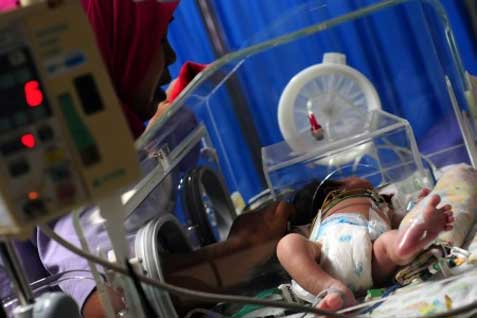  Satu Dari Enam Bayi Indonesia Lahir Prematur