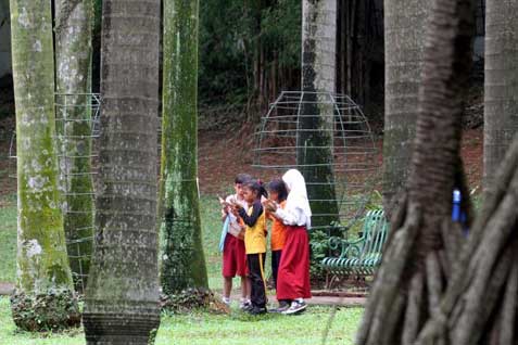  HUTAN LINDUNG DAN RTH: Pemprov DKI Pesimistis Target 2017 Tercapai