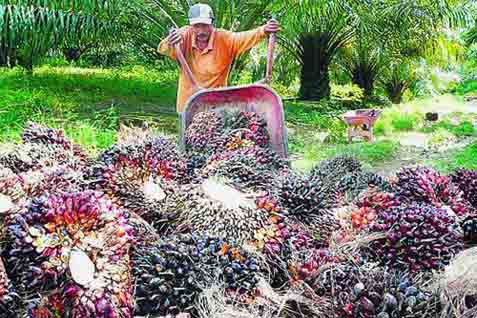  RI Perluas Pasar CPO dan Rotan ke China