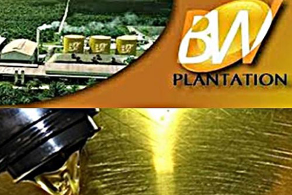  BW PLANTATION: Suspensi Dicabut, Bidik Rp11,1 Triliun dari Penawaran Umum Terbatas