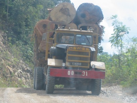  Legalitas Kayu: Baru 56 Pengusaha Bali Kantongi SVLK