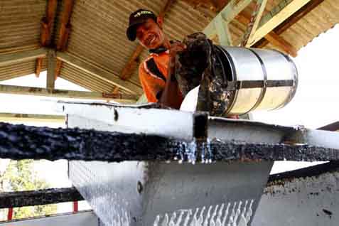  HARGA KARET (29 September 2014): Ditutup Anjlok 1,37%