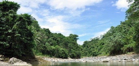  PEMULIHAN NIAS: Pariwisata Diharap Percepat Pemulihan Nias Pascagempa dan Tsunami