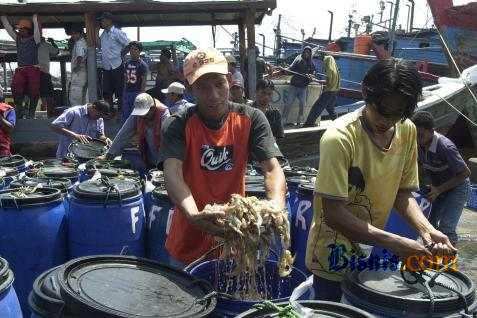  OJK dan Kadin Bentuk Pokja Pembiayaan Kelautan dan Perikanan