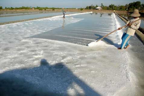  Produksi Garam Industri pada 2019 Ditarget 1,5 Juta Ton