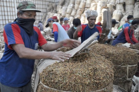  Petani Tembakau Khawatirkan Penyerapan Produksi Rendah