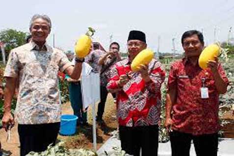  MEA 2015: Produk Makanan Olahan Wonosobo Siap Bersaing