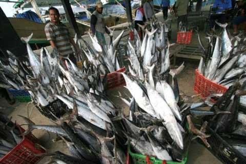  PASAR IKAN: Muara Angke Ditarget Terbesar di Asean