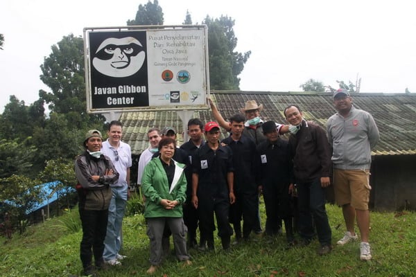  Menengok Habitat Owa Jawa di Taman Nasional Gunung Halimun Salak