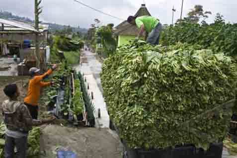  Industri Tembakau: Indonesia Berkomitmen Tidak Meratifikasi FCTC