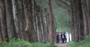  Daerah Tak Lagi Berwenang Keluarkan Izin Hutan, Tambang &amp; Laut