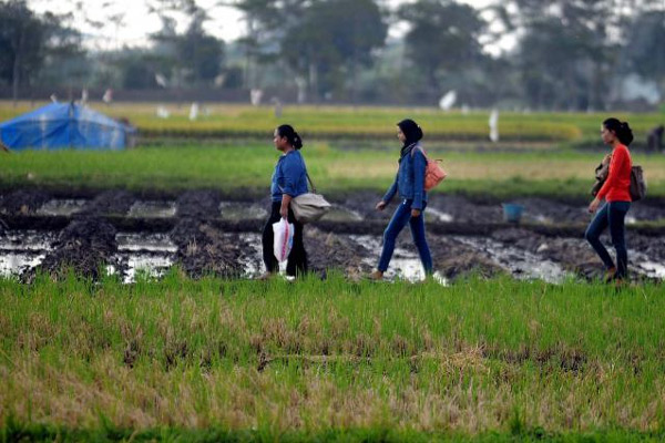  Penyerapan Tenaga Kerja Sektor Pertanian Terus Menyusut