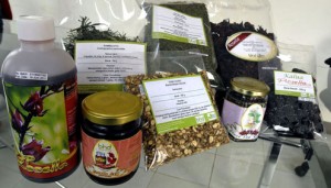  Obat Herbal Mampu Obati Diabetes