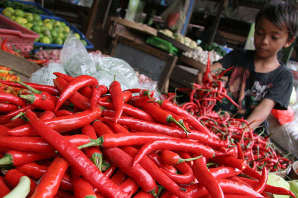  Harga Cabai di Ibu Kota Melonjak Tajam