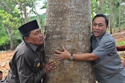  Kementerian Lingkungan Hidup dan Kehutanan Dorong Kembali Penanaman Pohon