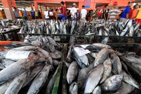  Pengelola Tempat Pelelangan Ikan di Cirebon Keluhkan Banyaknya Tengkulak