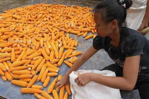  Pertamina Ajak Masyarakat Manfaatkan Kulit Jagung untuk Kerajinan Tangan