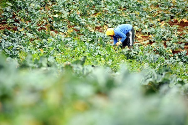  Kab.Bandung Tolak Investasi Asing di Sektor Agribisnis