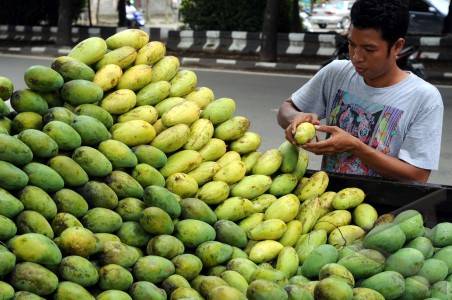  Ekspor Mangga: Permintaan Harum Manis Naik 50%