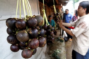  Ekspor Buah: Nanas, Manggis dan Rambutan Mulai Banyak Diminati