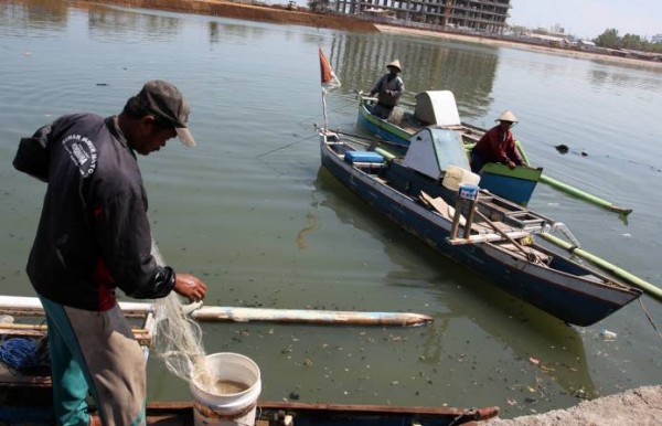  KKP Pacu Budidaya Ikan Laut