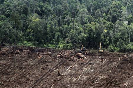  LAHAN GAMBUT: Jokowi Kucurkan Rp300 juta untuk Kanalisasi di Riau