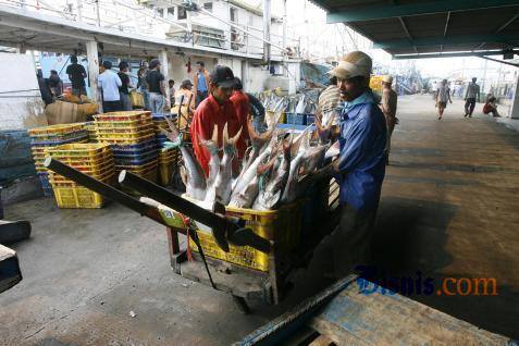  Tangkapan Ikan Laut di Lebak Mencapai 150 Ton