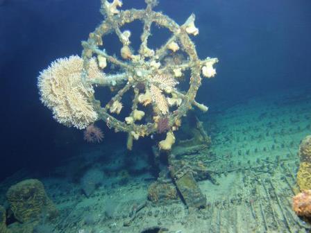  Robot Kapal Selam Temukan Puing Kapal Misterius di Hawaii