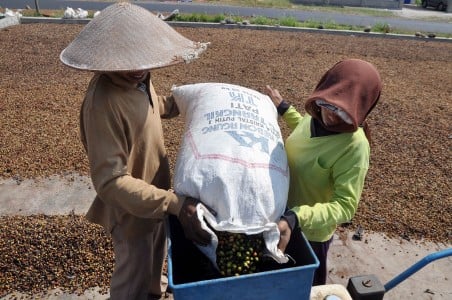  Mahasiswi Widya Mandala Perkenalkan Jelly dari Kopi Arabika Flores