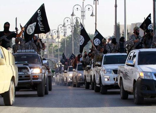  Swiss Hukum Warganya Yang Tergabung ISIS Dengan Kerja Sosial