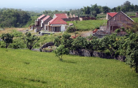  Ilustrasi Penyusutan lahan sawah/Antara