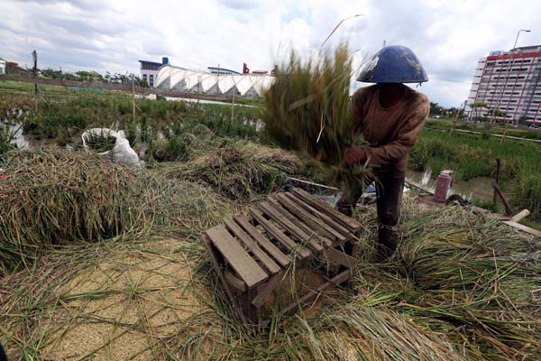  FOTO: Pemerintah Harus Kendalikan Alih Fungsi Lahan