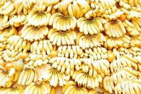  Pisang Bermerek Serbu Pasar Tradisional