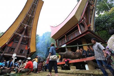  LOVELY DECEMBER, Ini Cara Tana Toraja Dongkrak Kunjungan Wisatawan