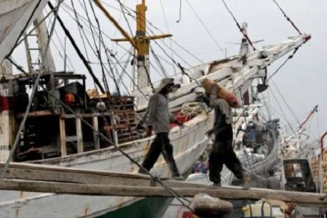  Kemenhub Wajibkan Sertifikasi Tenaga Bongkar Muat di Pelabuhan