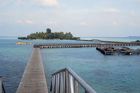  Ada Museum Ikan Paus di Pulau Tidung