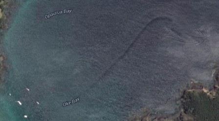  Ini Penampakan Mahluk Misterius di Selandia Baru Yang Tertangkap Aplikasi Google Earth