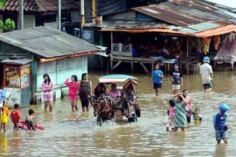  BANJIR ACEH: Tambak Udang dan Ikan Bandeng Ikut Terendam