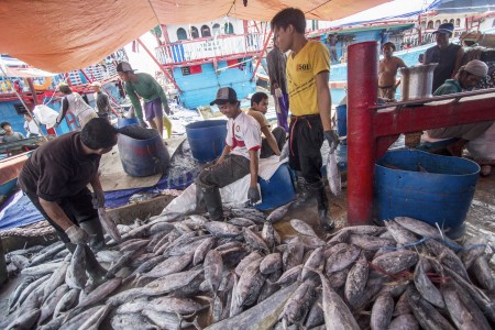  PERIKANAN BUDI DAYA: KKP Dorong Penggunaan Bahan Pakan Lokal