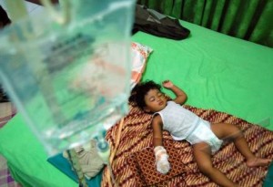  Selama 2014, Kasus DBD Diklaim Menurun Tajam
