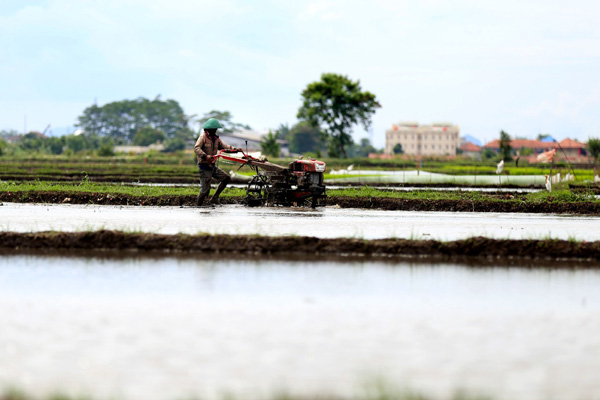  FOTO: Dampak Penaikan Harga BBM, Daya Beli Petani Tergerus