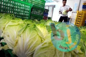  Cara Tepat Menyimpan Buah dan Sayur