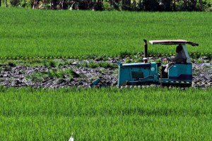  Pemprov Jabar Bagikan 1.500 Traktor untuk Gapoktan