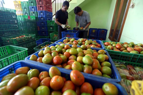  FOTO: UU Hortikultura Bikin Investor Resah