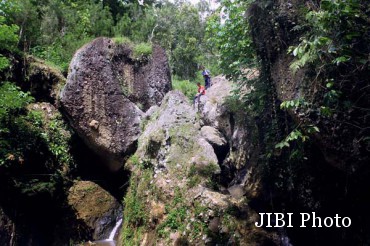  Suasana Hutan Asri di Watu Gembel Kulonprogo
