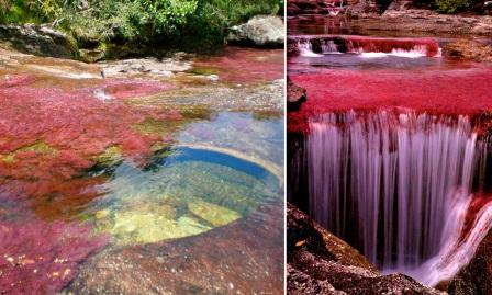  VIDEO: Ini Penampakan Sungai Terindah di Dunia