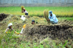  Soal Lahan Abadi, Pemkab Indramayu Minta Kompensasi