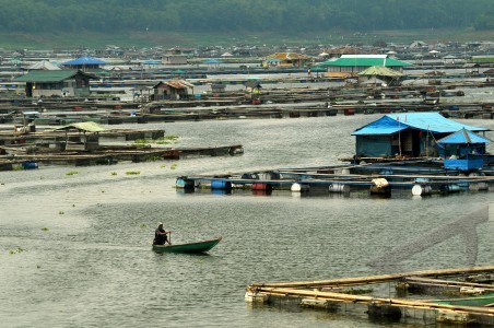  Aktivitas Jaring Terapung di Waduk Citarum Terancam Dihentikan
